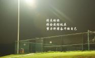 开云体育平台APP-绿茵孤勇者，布罗佐维奇的火热之心，点燃丹麦与厄瓜多尔的生死战