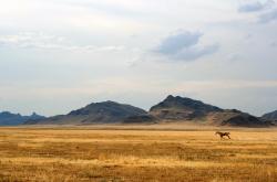 开云体育中国-羽毛球唯一性之光，丹麦韩国鏖战见证团队精神，辛杜纪录刷新彰显个人辉煌