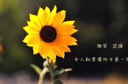 开云体育官网-爱尔兰绿色防线失守，日本魔术师导演南美风暴，一场打穿背后的足球全球化寓言