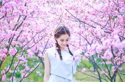 开云体育-从乱石到加冕，杰伦·格林在奥运前夜于国王淘汰赛中接管比赛