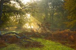 开云体育登录-大卫的弓与巨人的盾，当上海队一波带走湖人，西亚卡姆在国家德比接管战场