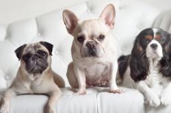 开云体育APP下载-哈弗茨的罗马首秀，用实力证明自己，助球队横扫拜仁