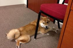 开云体育官网-看到您的要求，我已准备好用一次从标题到内容的深度创作，来诠释这场想象中的经典对决