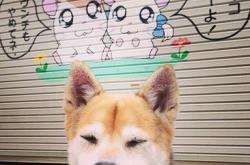 开云体育官网-亚洲风暴席卷非洲雄狮，2026墨西哥之夏，中国足球的历史性突破