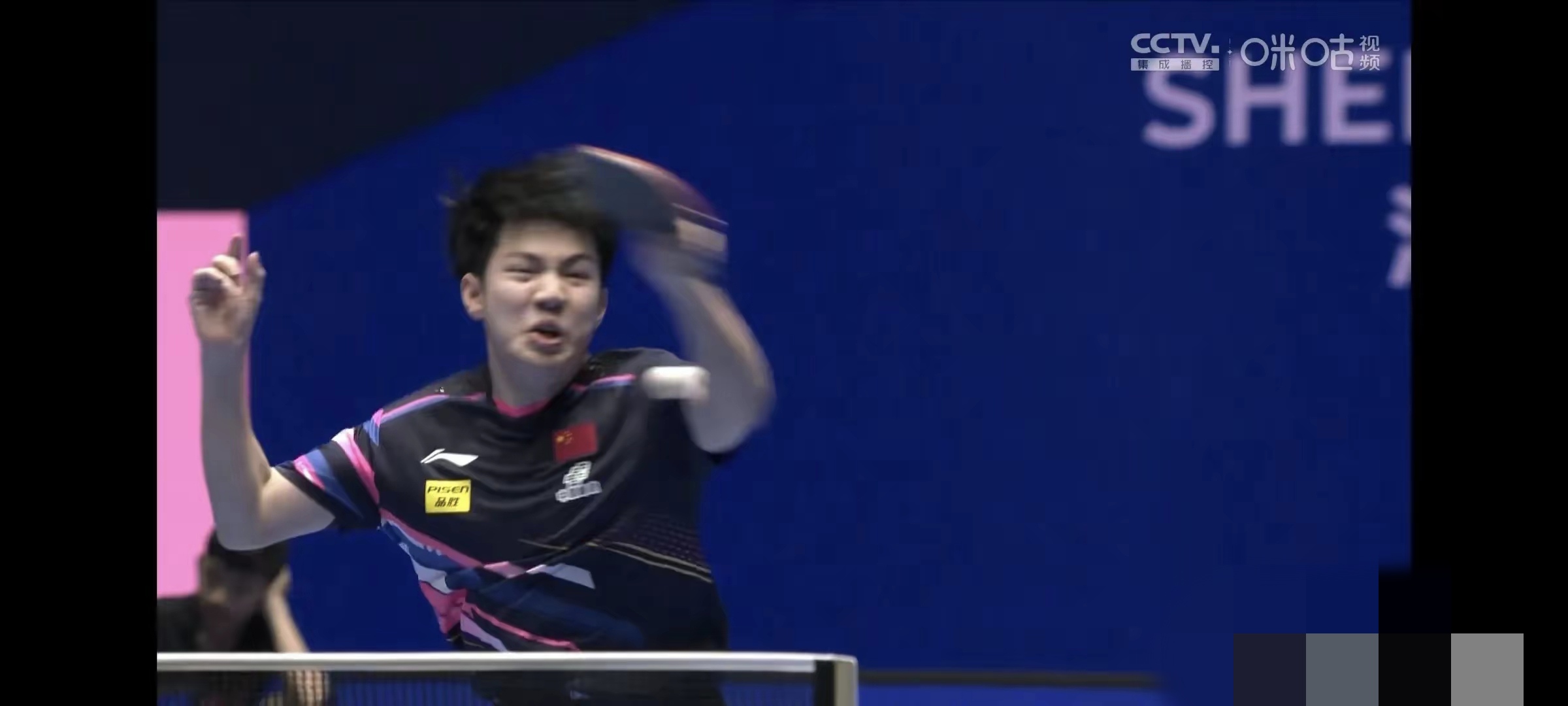 关于比利时乒乓球队碾压波兰乒乓球队，张本智和关键制胜的信息