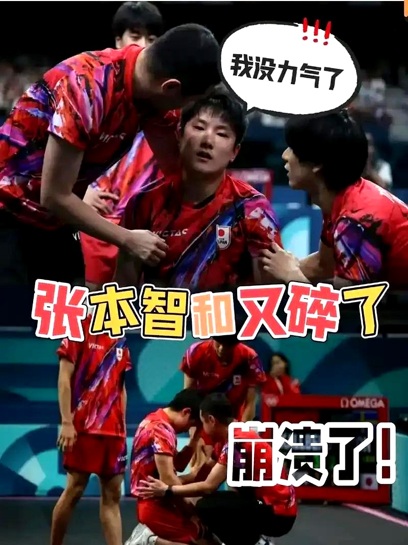 包含比利时乒乓球队血洗波兰乒乓球队，张本智和绝境逆转的词条