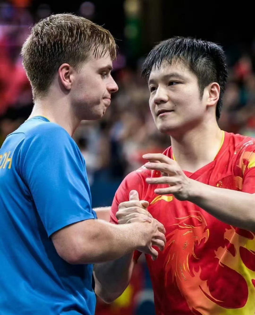 德国队绝杀葡萄牙队，樊振东关键制胜