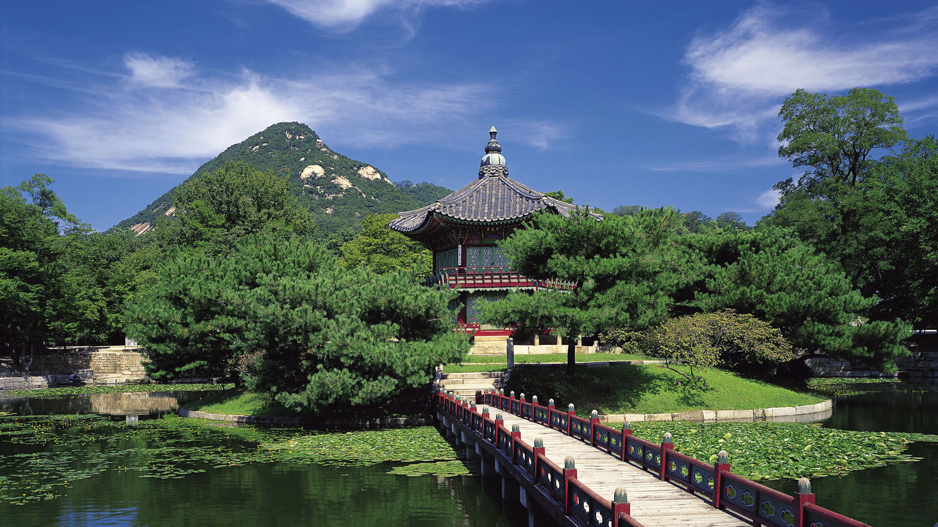 冷门纪元,当伊拉克的沙漠之风席卷尼斯的蔚蓝海岸