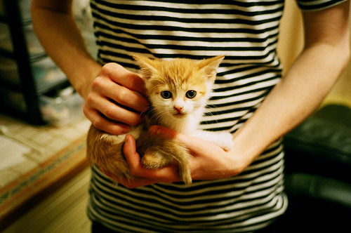 足球的唯一性交响曲,雷恩横扫希腊与C罗英超争冠接管之夜