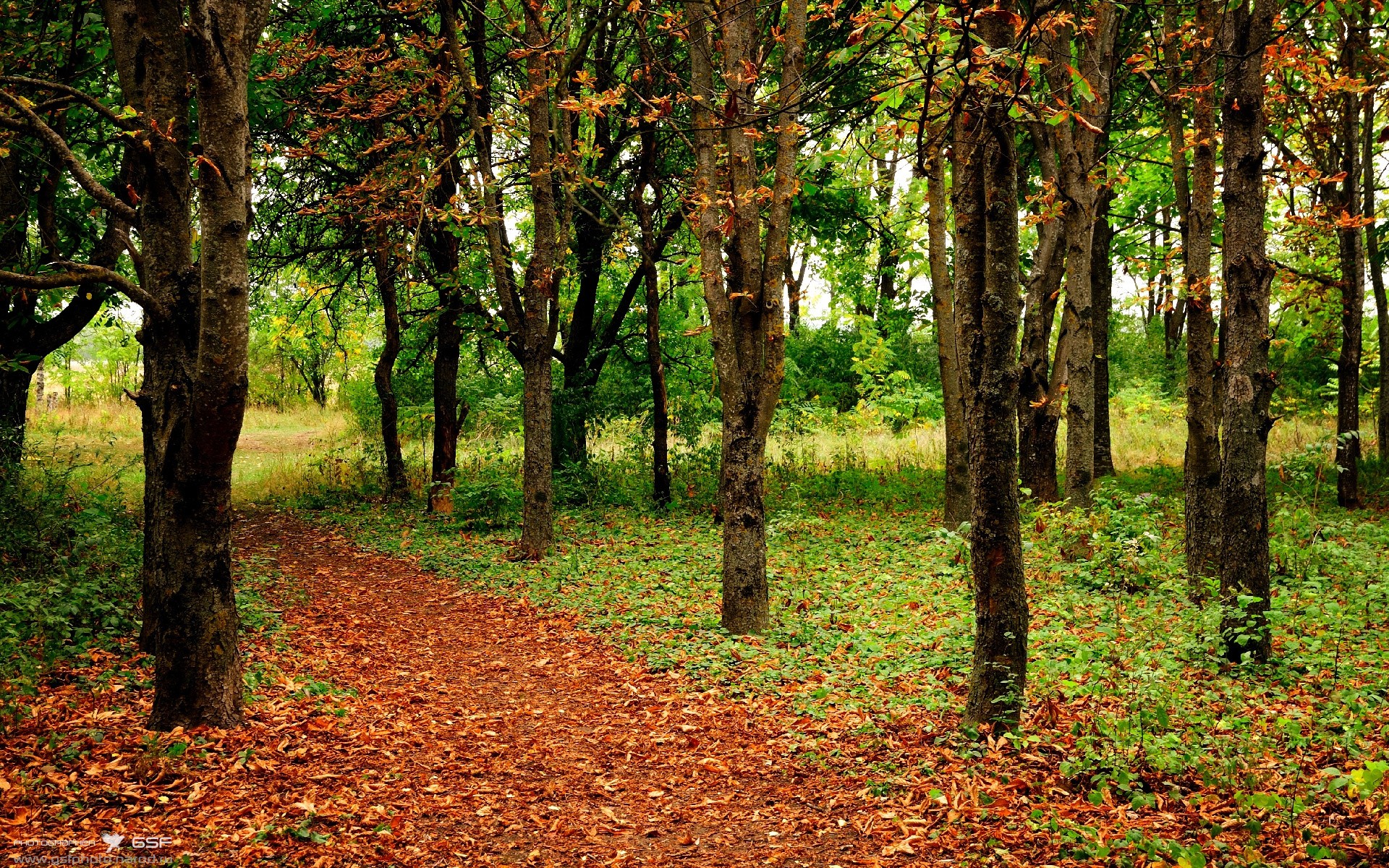 王座之巅的独舞，德甲争冠夜，拉梅洛书写唯一性传奇