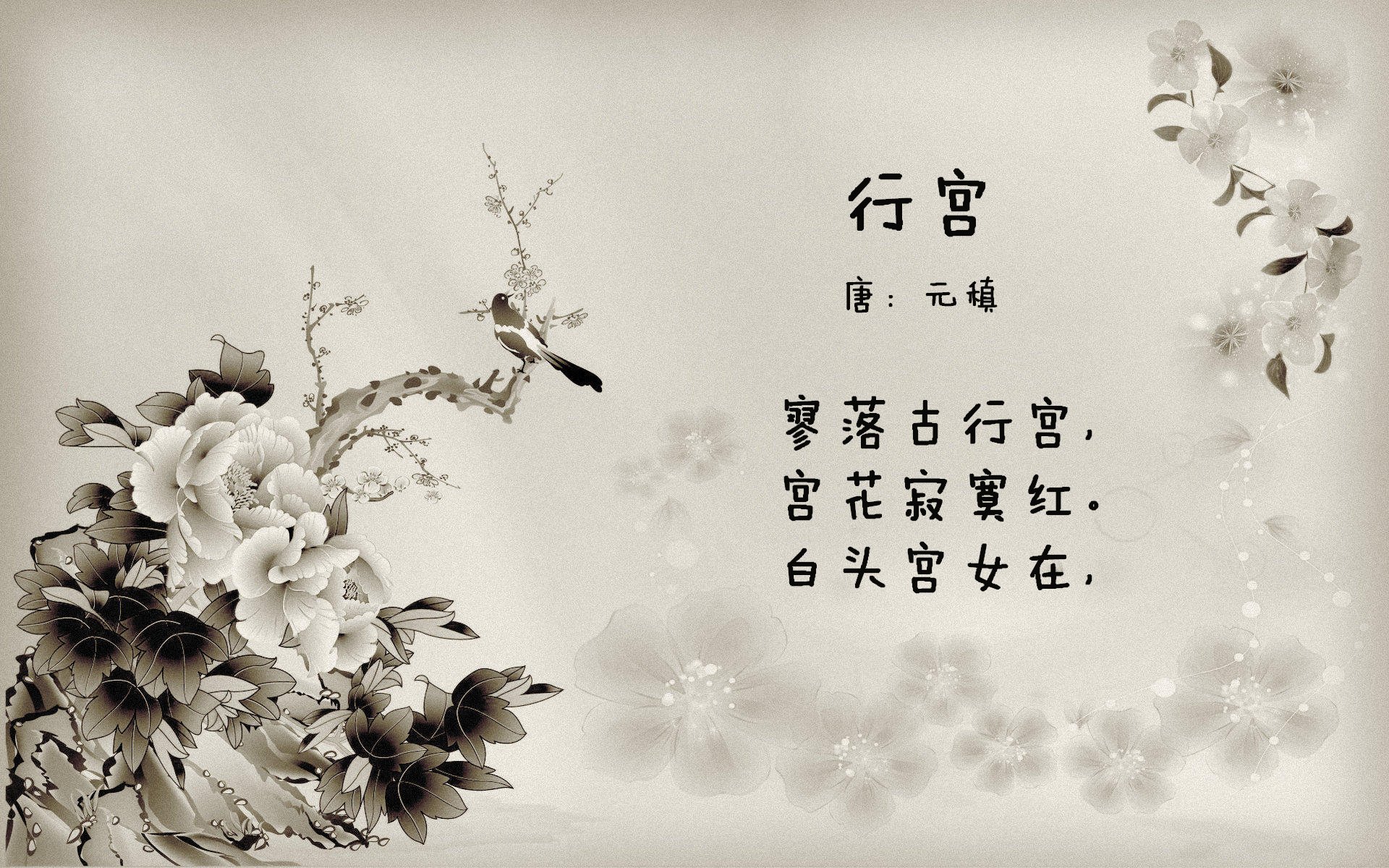 新神挑战旧秩序,土耳其旋风如何撼动百年豪门