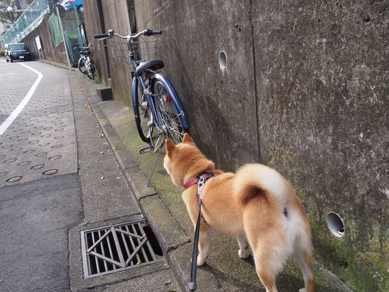 当终场哨与倒计时重合，欧冠半决赛之夜与杜兰特定乾坤的同一秒