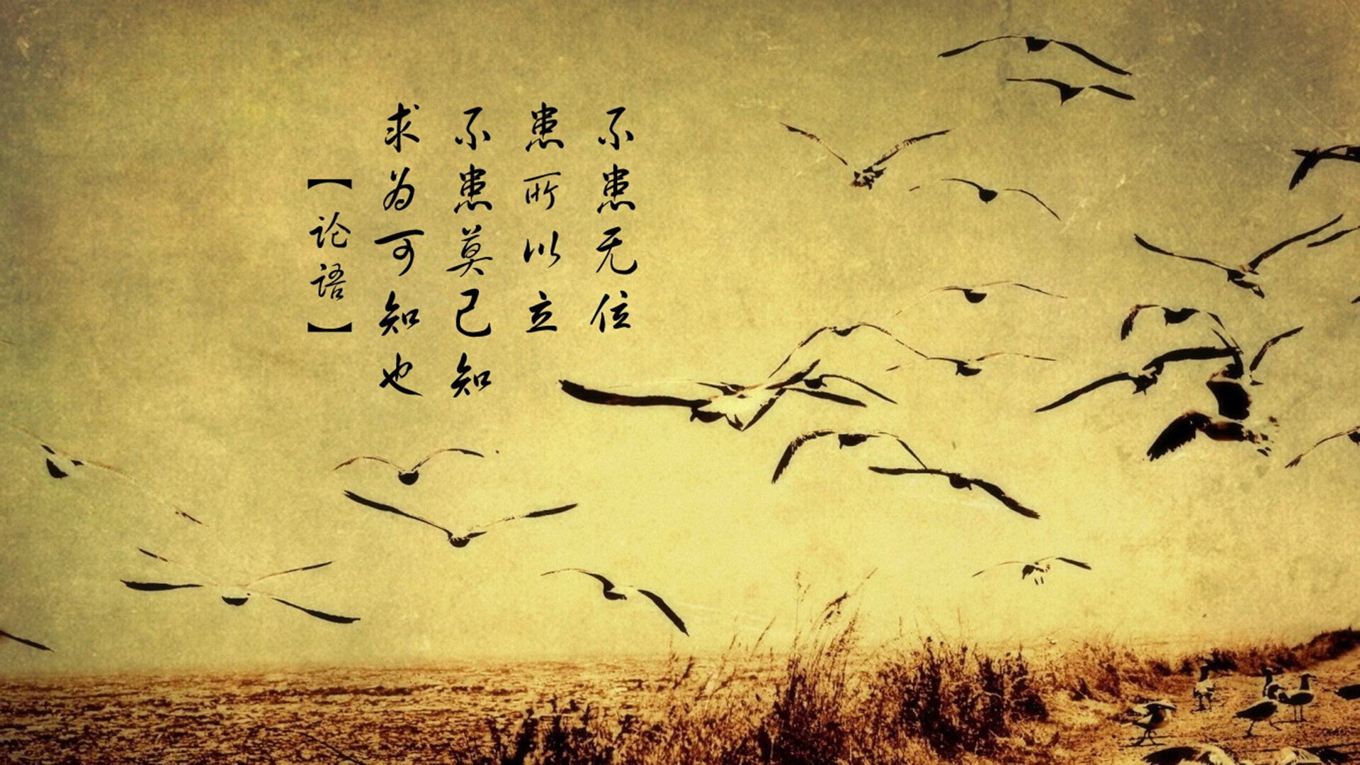 北欧海盗击沉红色战舰！努涅斯独造三球缔造历史