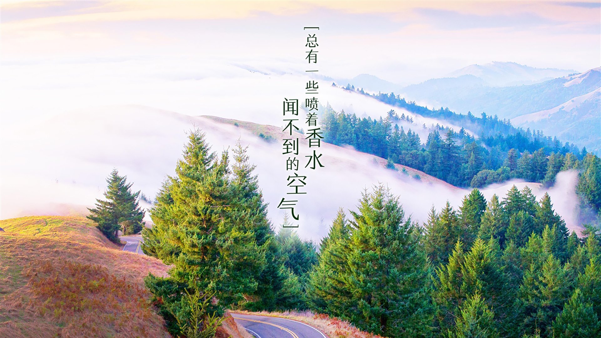 改写王座法则，世界排名争夺战焦点战中，浙江队的无星革命