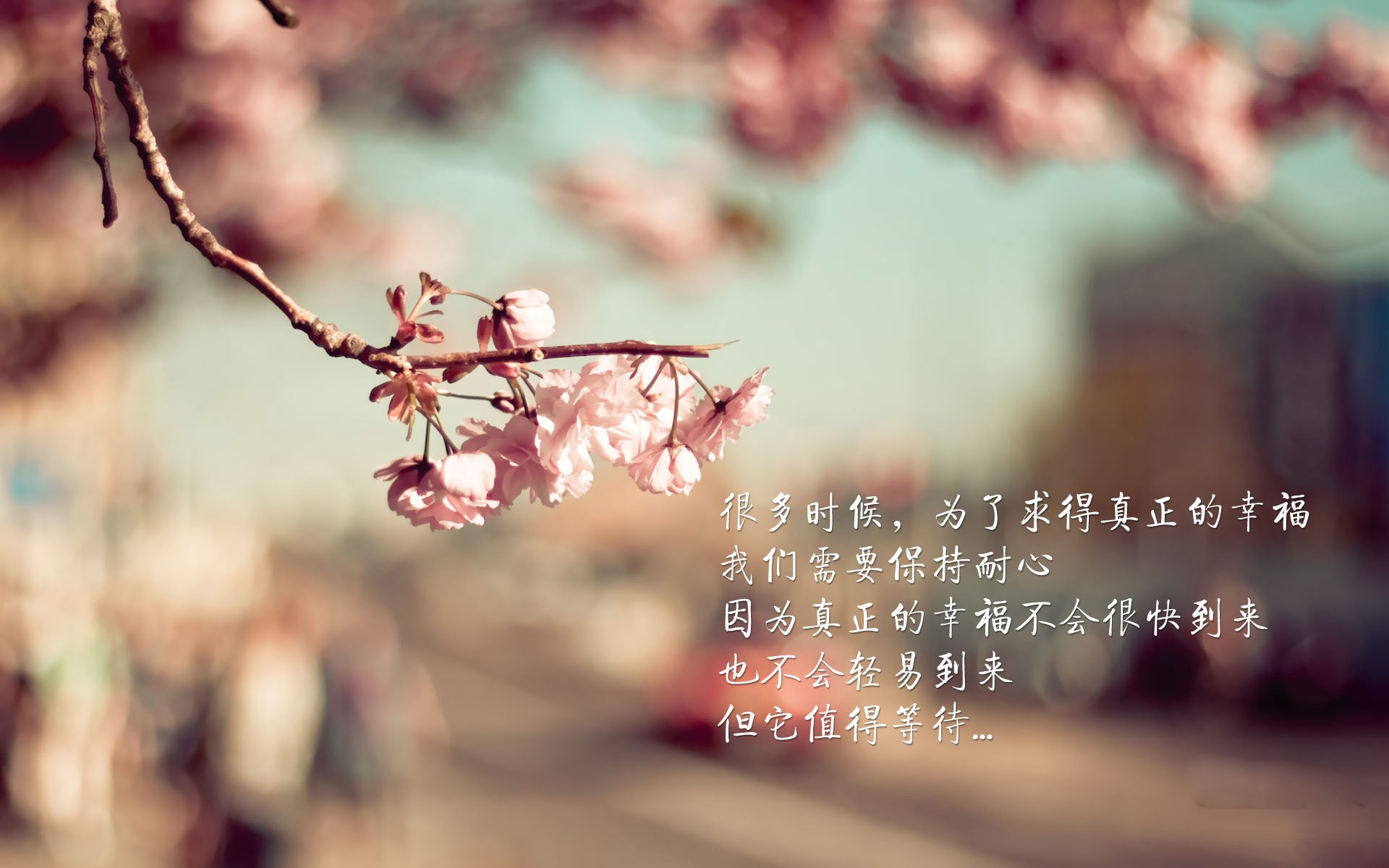 活塞终结森林狼？不，是莫兰特用节奏一票否决