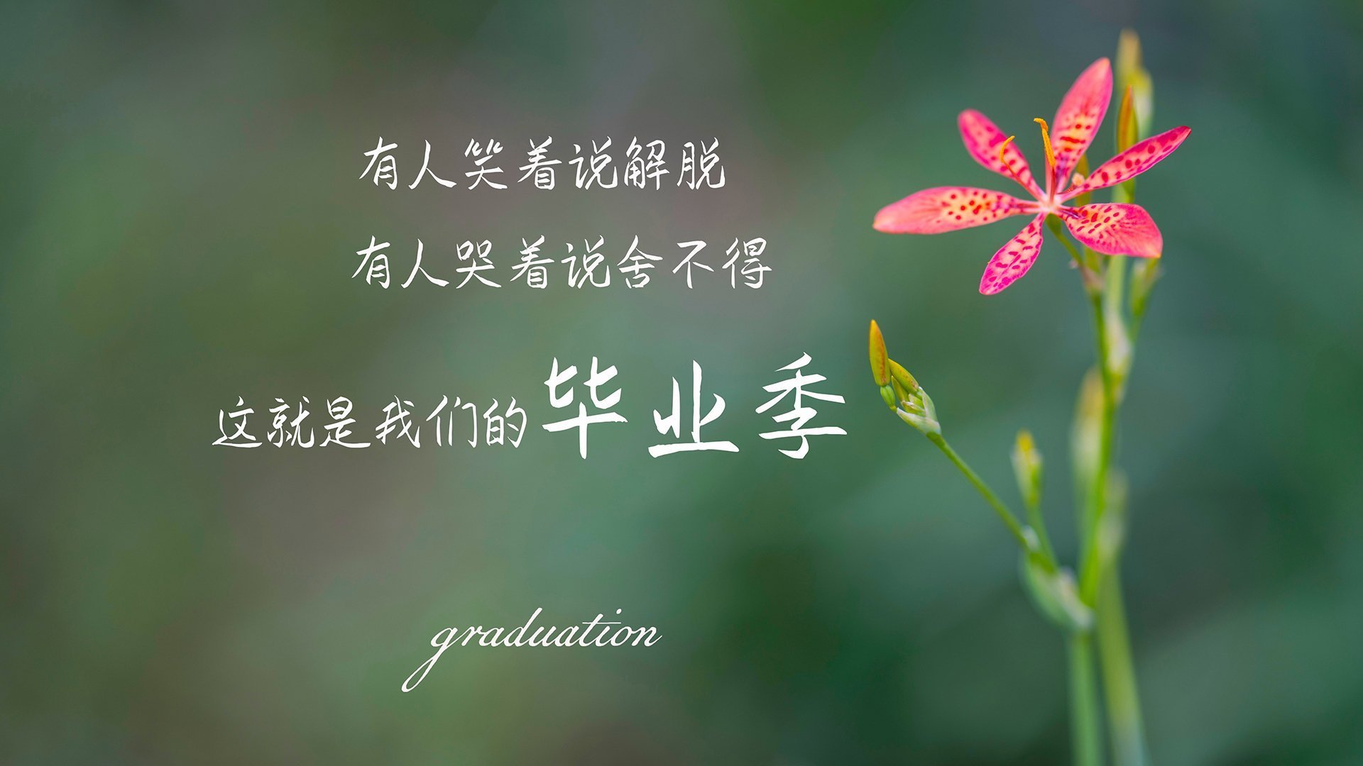 定海神针!意甲焦点战之夜的德里赫特,上演防守教科书