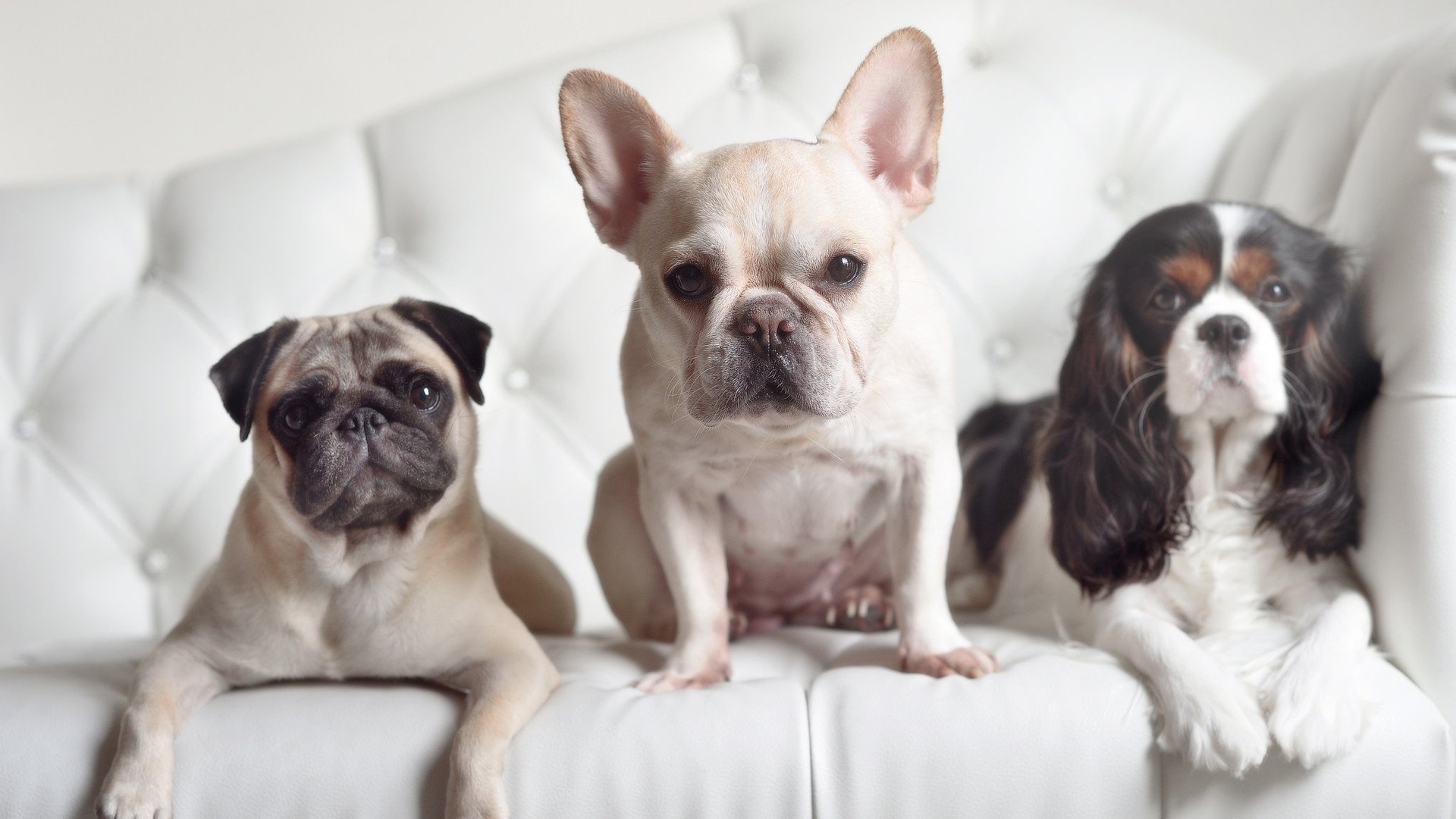 哈弗茨的罗马首秀，用实力证明自己，助球队横扫拜仁