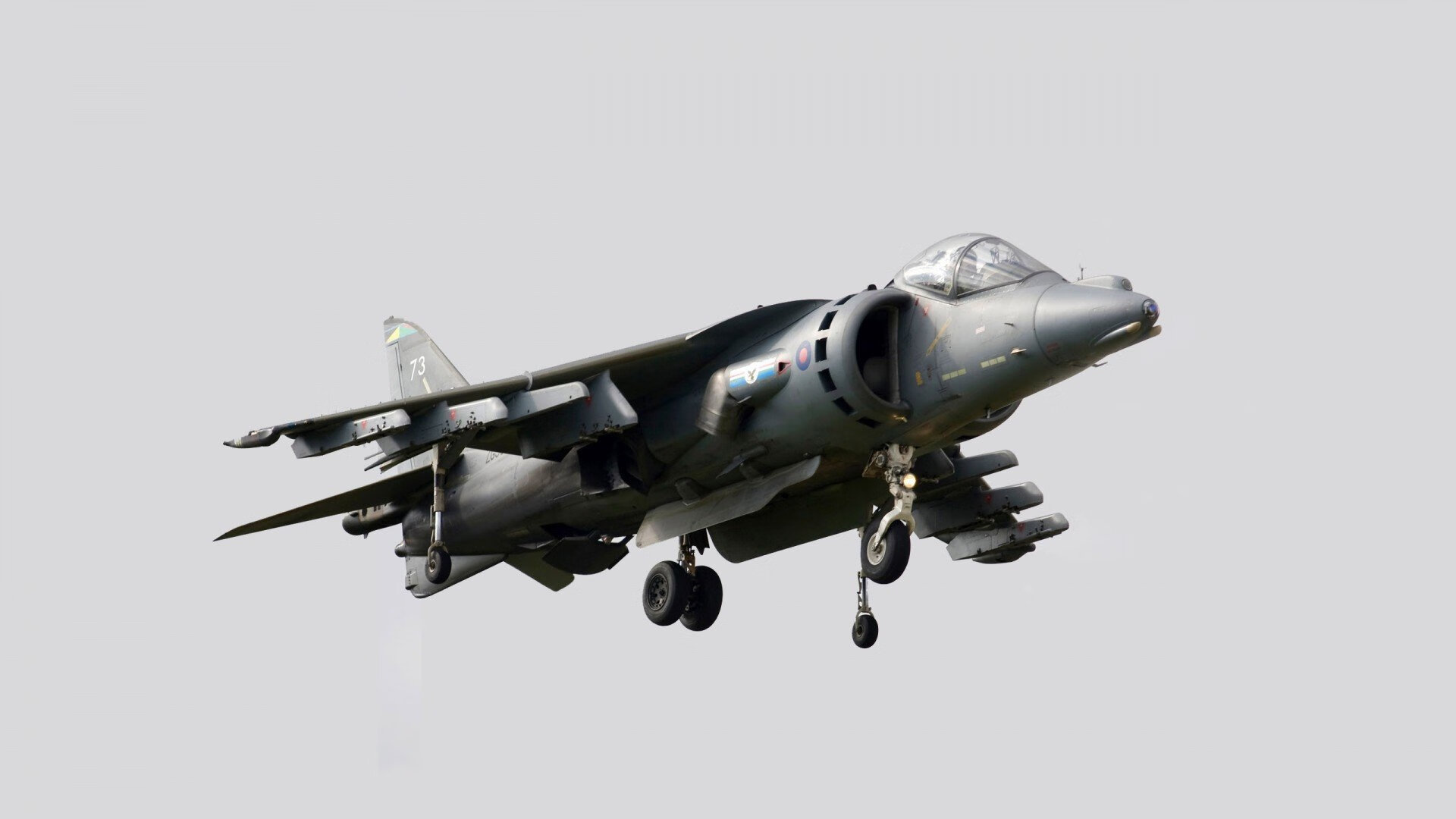 末节风暴!广东最后防线竟被这只赤狐撕碎