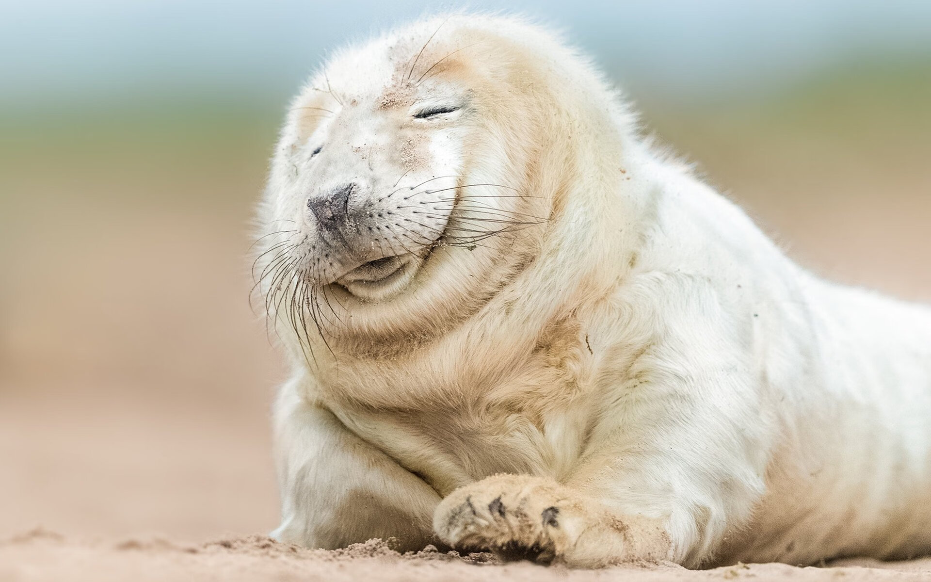 京多安一锤定音，几内亚力克伊拉克提前出线