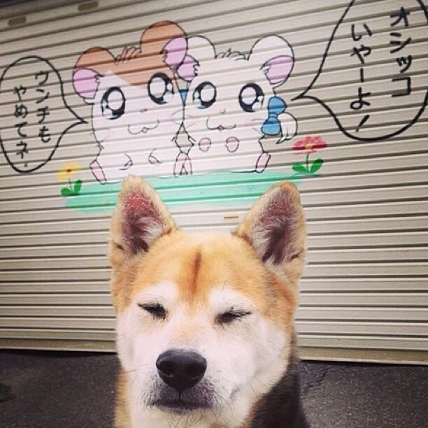 亚洲风暴席卷非洲雄狮,2026墨西哥之夏,中国足球的历史性突破