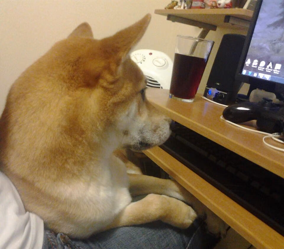 唯一性的时空对决,当乔治的无解篮球哲学遇上新疆队的铁血纪律