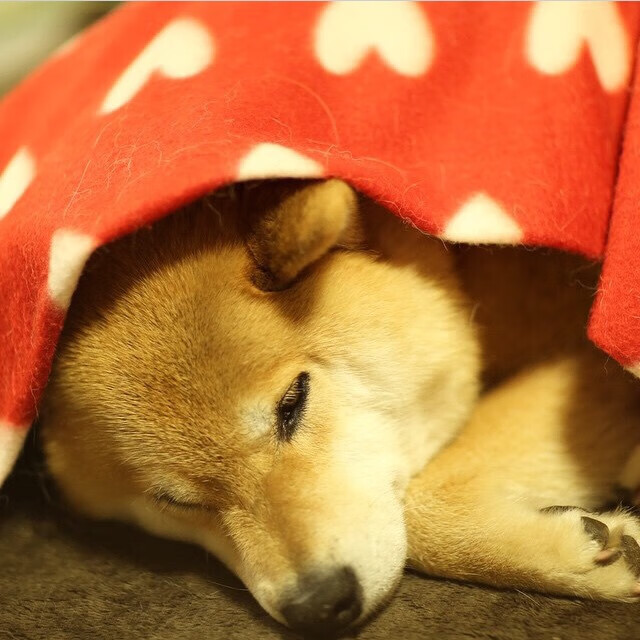 马克西闪耀洛城！火箭升空击沉快船，新一代巨星正名之战