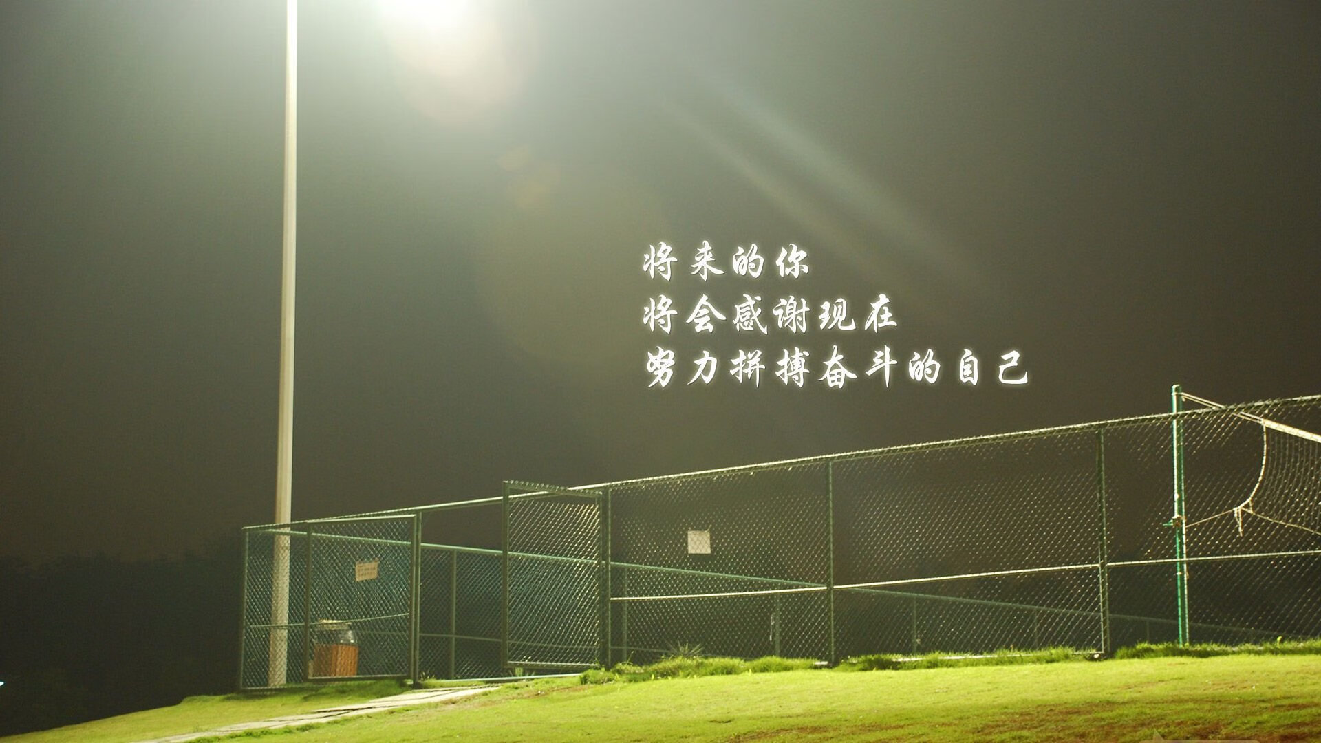 绿茵孤勇者，布罗佐维奇的火热之心，点燃丹麦与厄瓜多尔的生死战