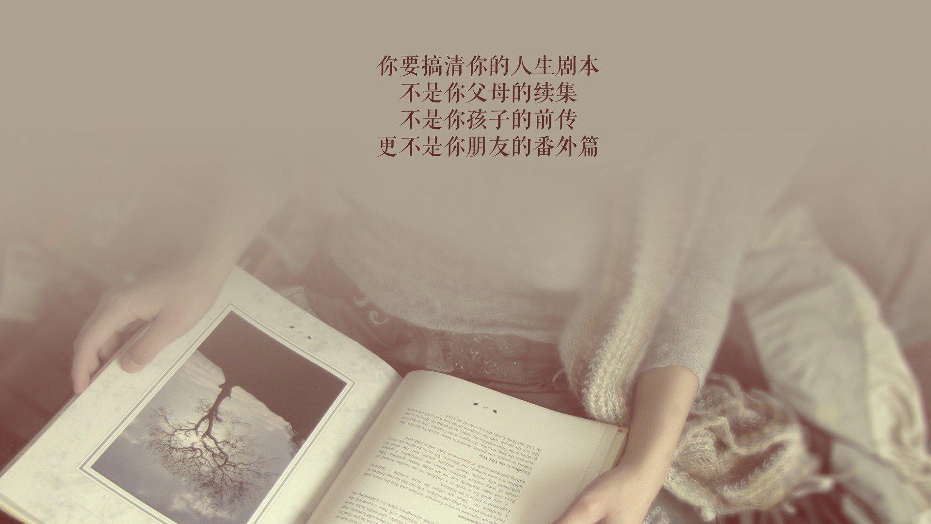 橙色风暴的黄昏,2026世界杯D组生死战,厄瓜多尔横扫荷兰,吉鲁绝命一击,门神铸就铁壁