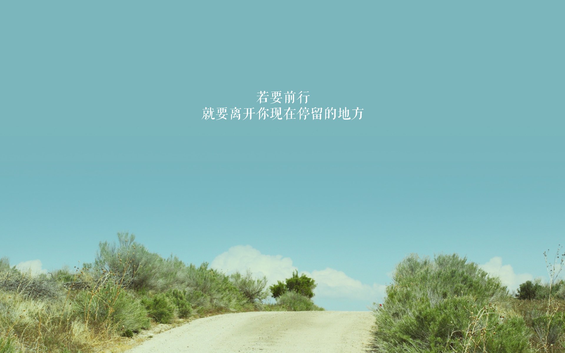 喀麦隆之狮震碎波兰铁骑,贝林厄姆独舞中场的绝世之夜—2026世界杯B组强强对话全纪实