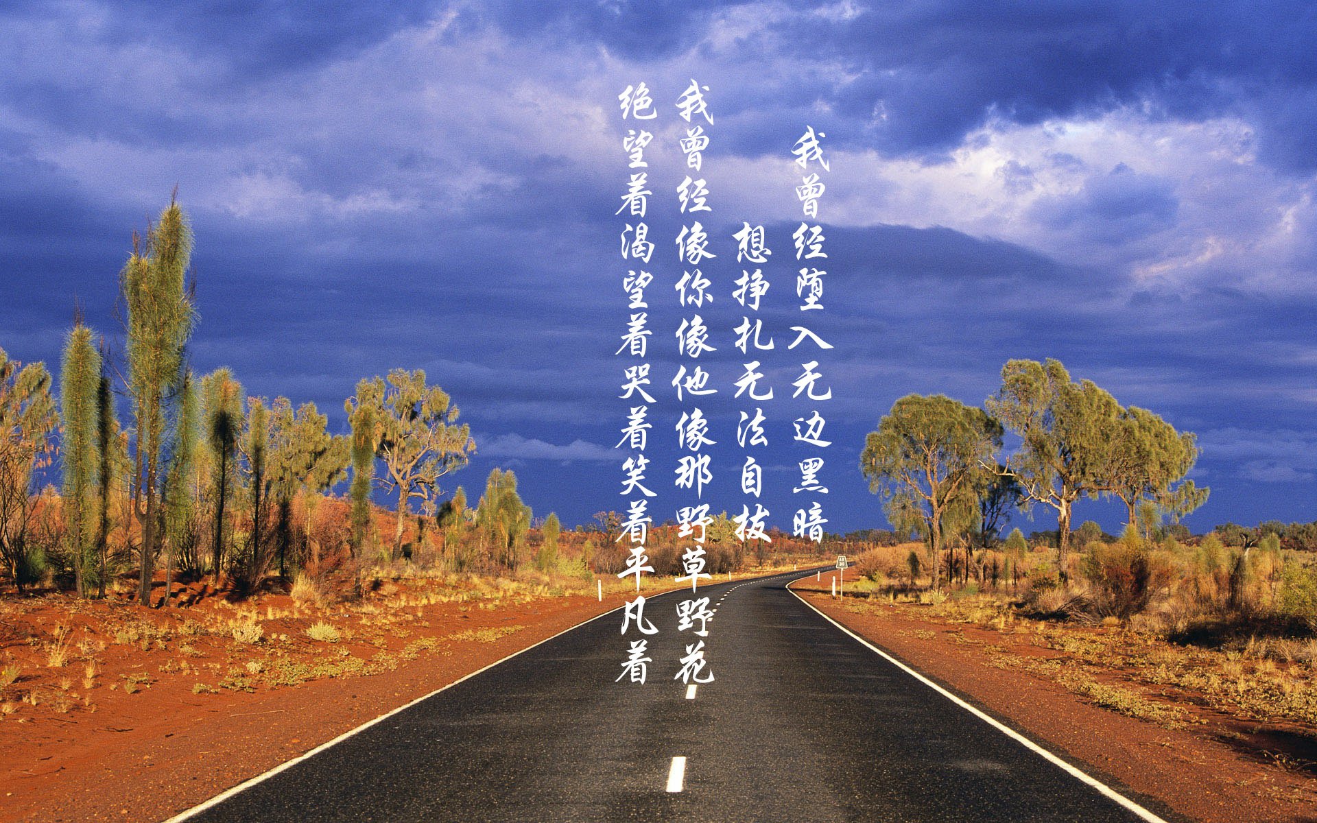 结局的背叛，当2026的历史重演被哈兰德撕碎，英格兰如何成为王者之殇的背景板？