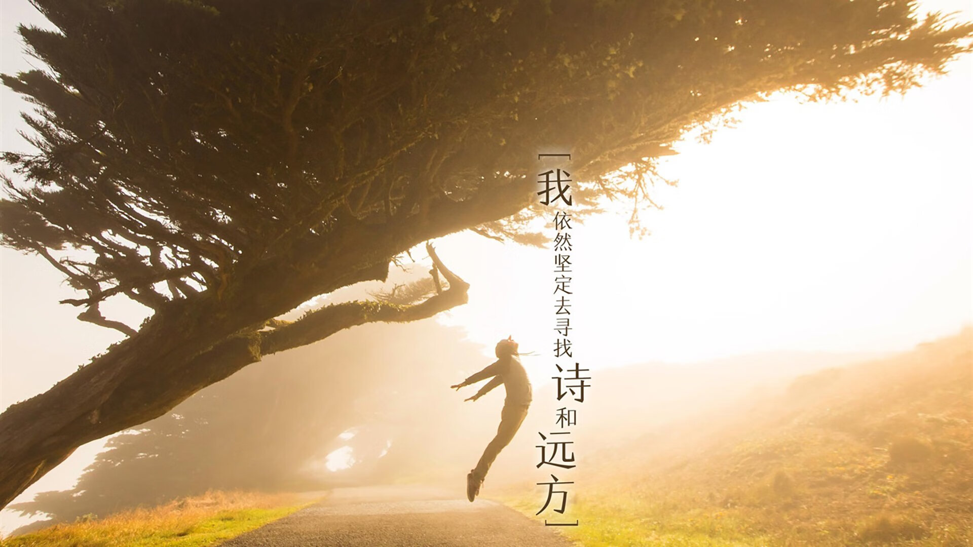 以下是为您构思的文章标题及正文内容