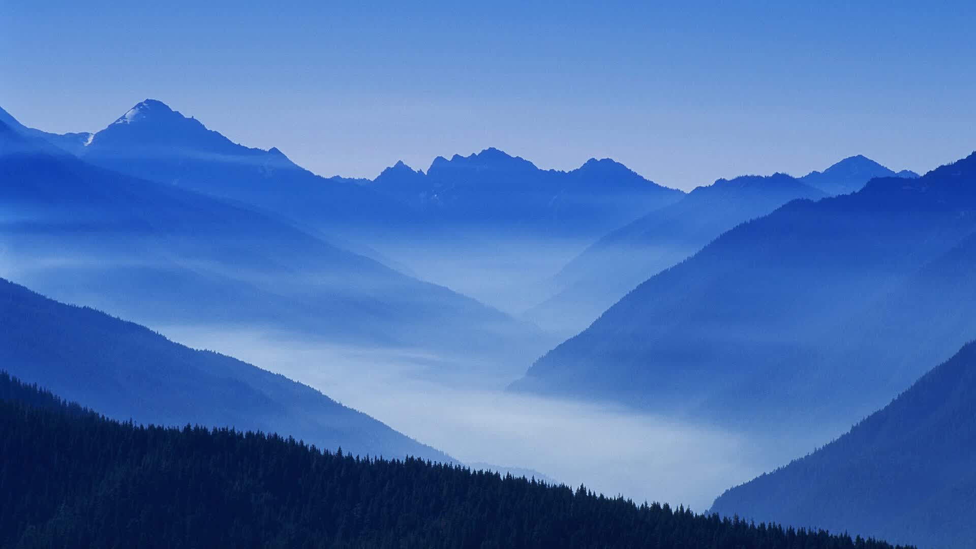 镜像2026,当登贝莱的弧线刺穿夜空,卡塔尔用临场智慧重写世界杯剧本